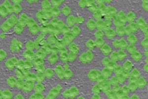 gelsight