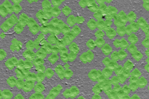 Shot Peened Surface Analysis