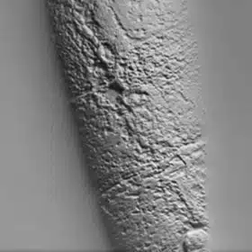 metrology image 02